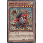 LCYW-FR204 Dragon Armé LV5 Commune