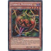 LCYW-FR239 Tomate Mystique Secret Rare