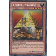 LCYW-FR245 Tortue Pyramide Secret Rare