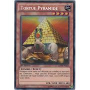 LCYW-FR245 Tortue Pyramide Secret Rare