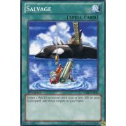 SDRE-EN030 Salvage Commune