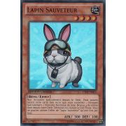 CT09-FR015 Lapin Sauveteur Super Rare