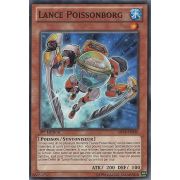 ABYR-FR096 Lance Poissonborg Commune