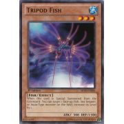 ABYR-EN006 Tripod Fish Commune