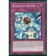 GENF-EN065 Explosive Urchin Commune