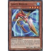 CBLZ-FR009 Lance Requin Commune