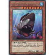 CBLZ-FR012 Requin Mégalodon Hyper Ancien Rare