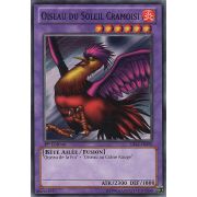 CBLZ-FR090 Oiseau du Soleil Cramoisi Commune