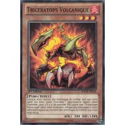 SDOK-FR014 Triceratops Volcanique Commune