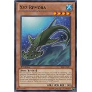 CBLZ-EN011 Xyz Remora Commune