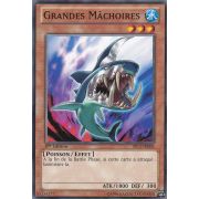 SP13-FR006 Grandes Mâchoires Starfoil Rare