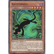 SP13-FR009 Kagetokage Starfoil Rare