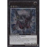 ZTIN-FRV02 Numéro 20 : Giga-Brillant Ultimate Rare