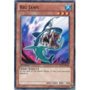 SP13-EN006 Big Jaws Commune