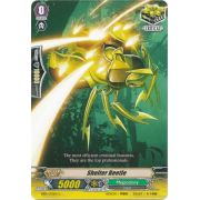 EB01/032EN Shelter Beetle Common (C)