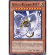 LCGX-EN010 Winged Kuriboh LV10 Commune