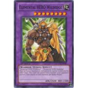 LCGX-EN049 Elemental HERO Wildedge Commune