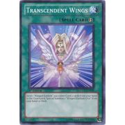 LCGX-EN079 Transcendent Wings Commune