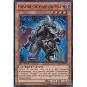 HA07-FR048 Castor Colonie du Mal Super Rare