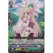 BT08/013EN Maiden of Rainbow Wood Double Rare (RR)