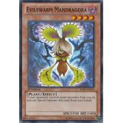 HA07-EN015 Evilswarm Mandragora Super Rare