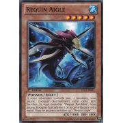 LTGY-FR011 Requin Aigle Commune