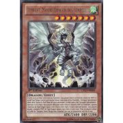 LTGY-FR041 Tempest, Maître Dragon des Tempêtes Rare