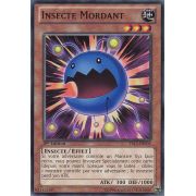 YS13-FRV05 Insecte Mordant Commune