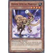 BP02-FR024 Hyper Tête de Marteau Commune