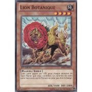 BP02-FR074 Lion Botanique Commune