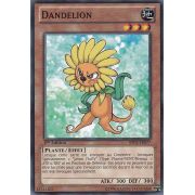 BP02-FR077 Dandelion Commune