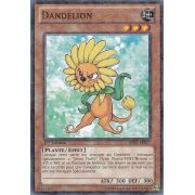 Dandelion