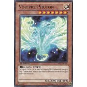 Vouivre Photon