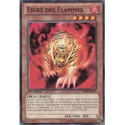 BP02-FR113 Tigre des Flammes Commune