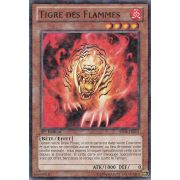 Tigre des Flammes