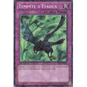 Tempête d'Étaqua