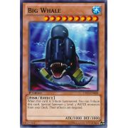 LTGY-EN008 Big Whale Rare