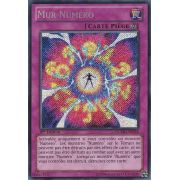 NUMH-FR058 Mur Numéro Secret Rare