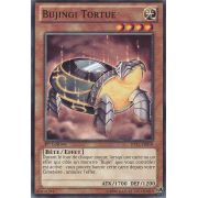 JOTL-FR018 Bujingi Tortue Commune