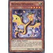 JOTL-FR021 Bujingi Ophidien Commune