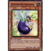 EXVC-FR098 Aubergine Naturia Super Rare