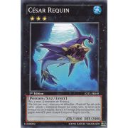 JOTL-FR049 César Requin Commune