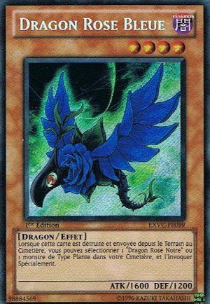 Dragon Rose Bleue