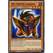 BP02-EN032 Big Shield Gardna Commune