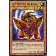 Big Shield Gardna