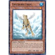 Treeborn Frog