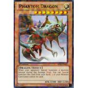 Phantom Dragon