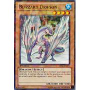 Blizzard Dragon