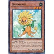 Dandylion