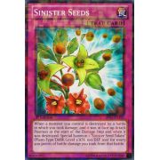 Sinister Seeds